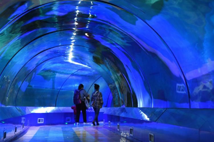 重庆欢乐海底世界荣膺国家级景区称号，探索海洋奇观的绝佳去处！