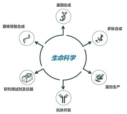 金斯瑞生物科技：传奇生物宣布用于治疗多发性骨髓瘤的关键三期试验积极总生存期结果