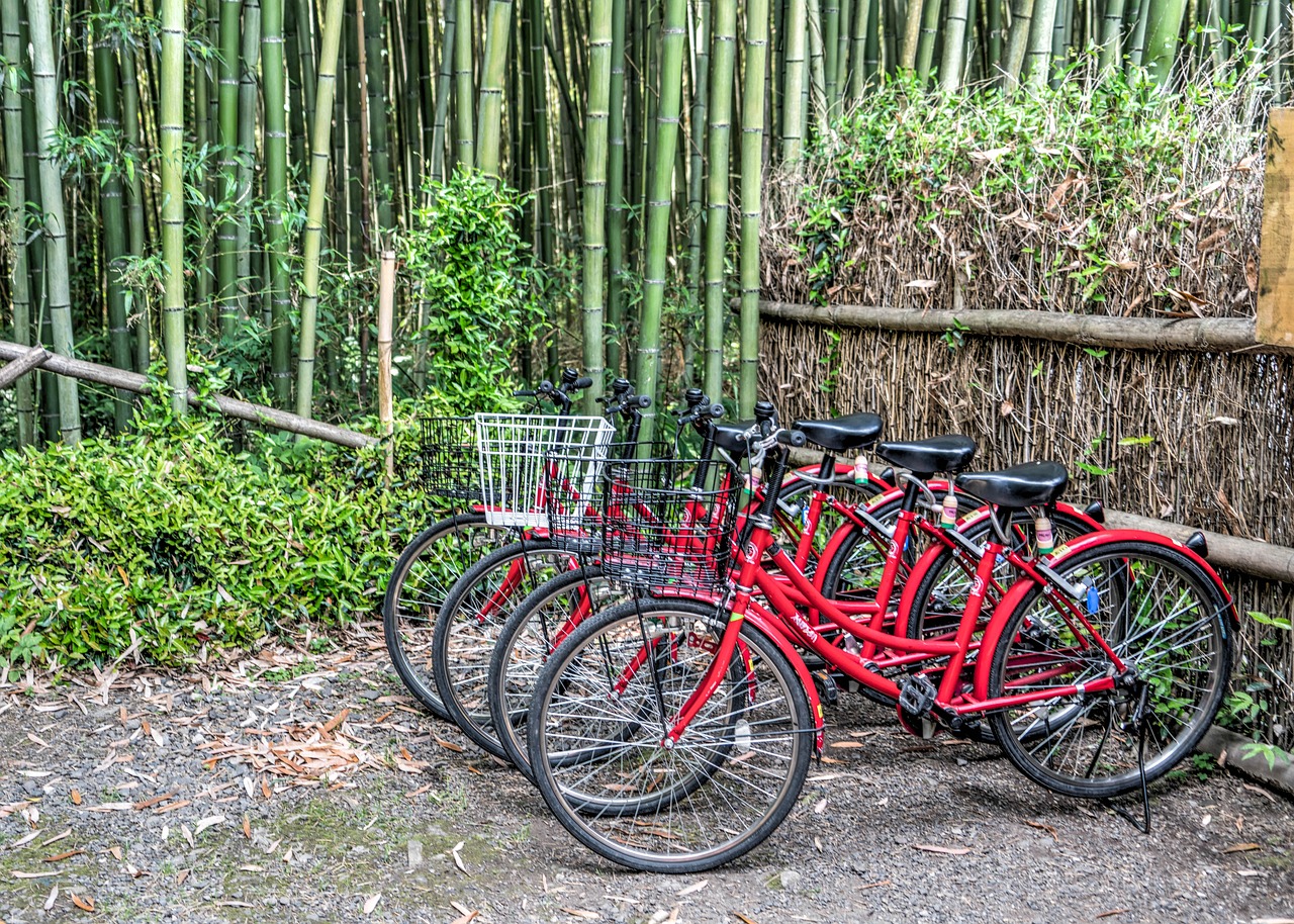 日本旅游胜地住宿遭遇大量退订的背后原因与应对策略