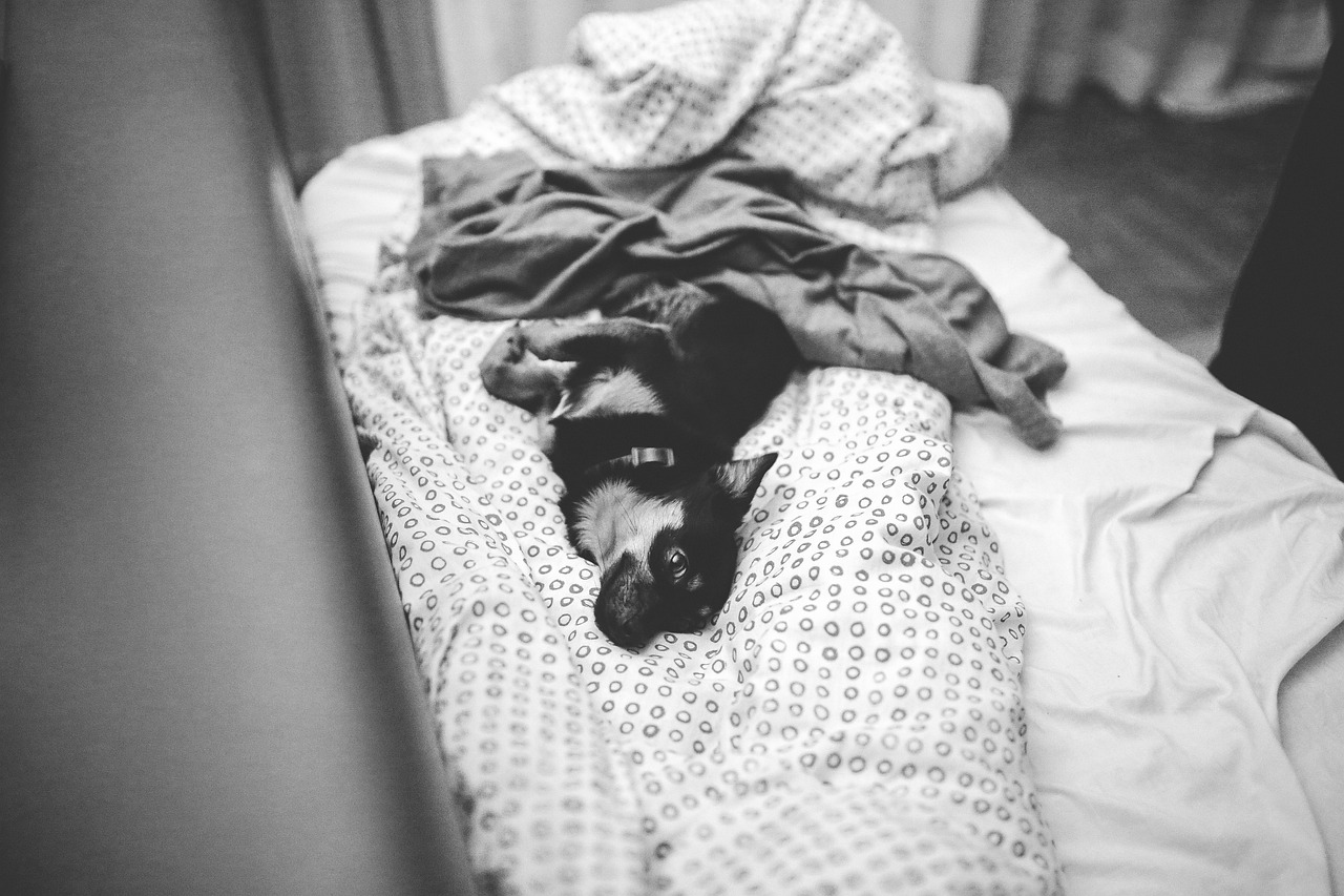 为何有人喜欢双手举过头顶睡觉，一种睡眠习惯的心理与生理探究
