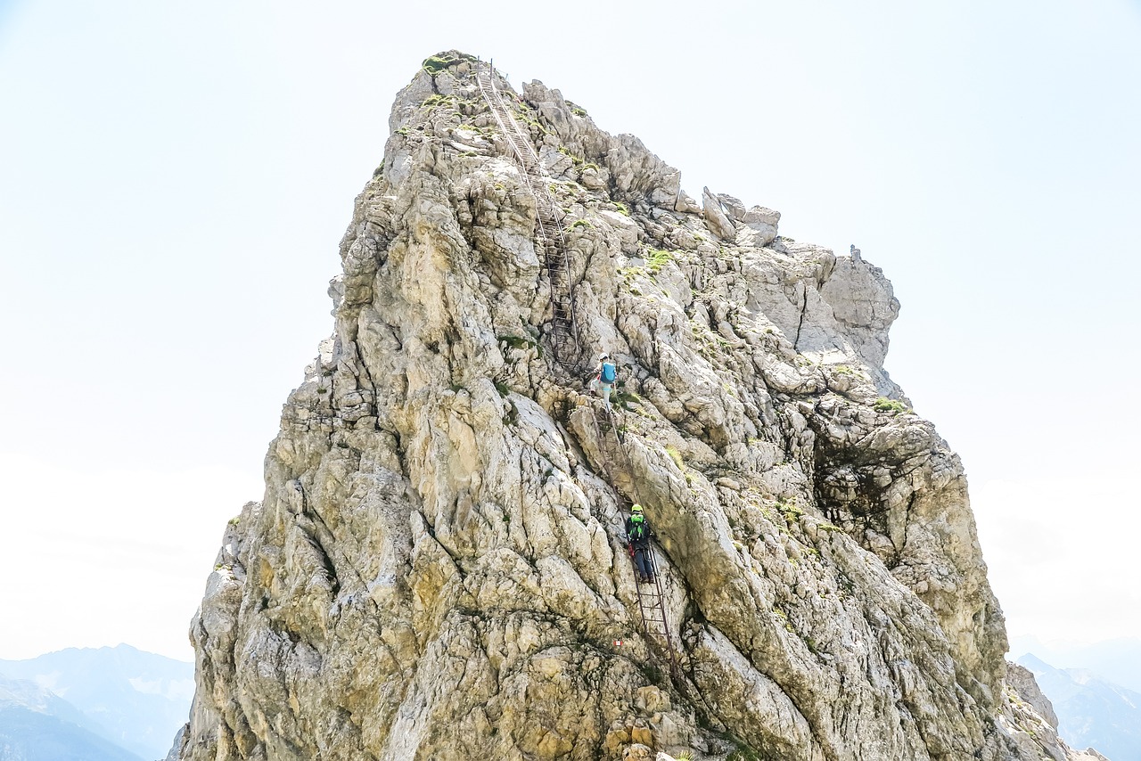 巴西男子遭水蟒缠身，绝望中勇敢咬蛇自救