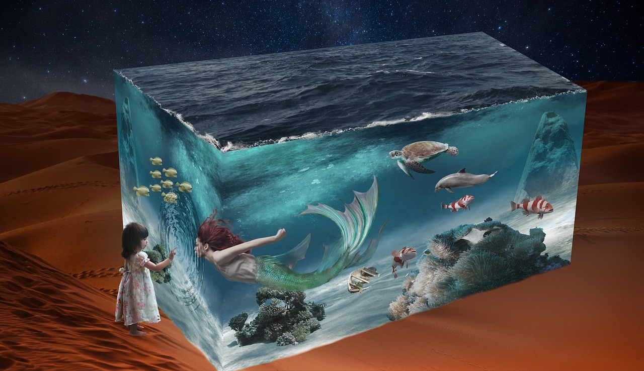 深度游记揭秘杭州海底世界，梦幻海洋之旅，亲子同乐的不二之选