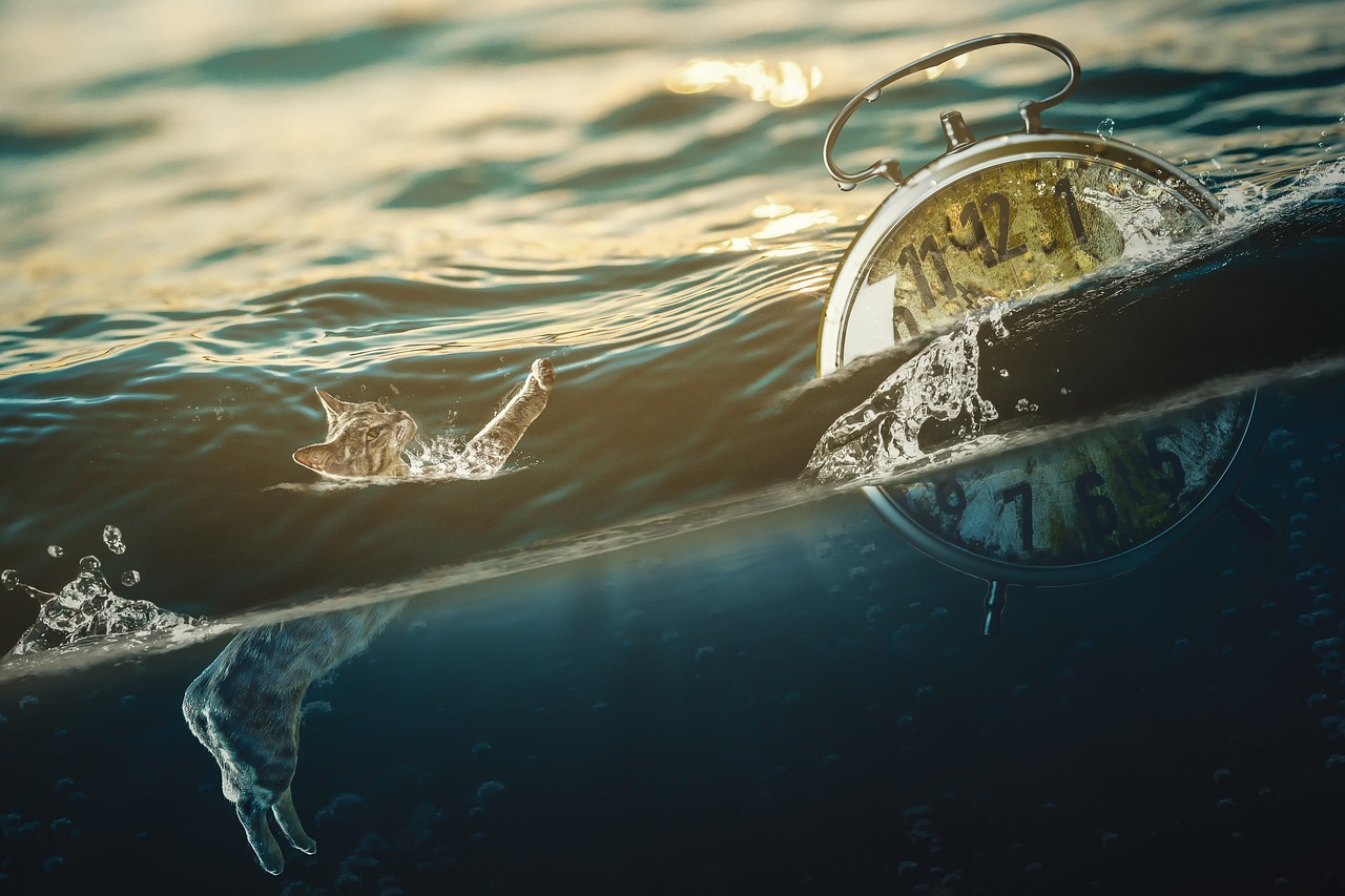 揭秘杭州极地海洋公园,梦幻之旅,尽享海洋奇缘 揭秘杭州极地海洋公园,梦幻之旅,尽享海洋奇缘