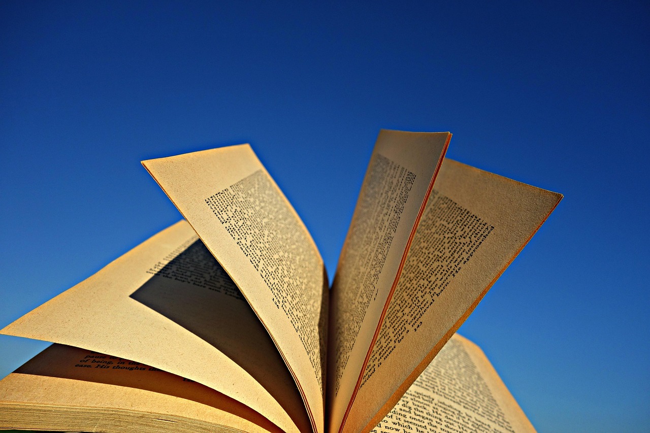 开启导游之旅,基础知识书籍的指南针