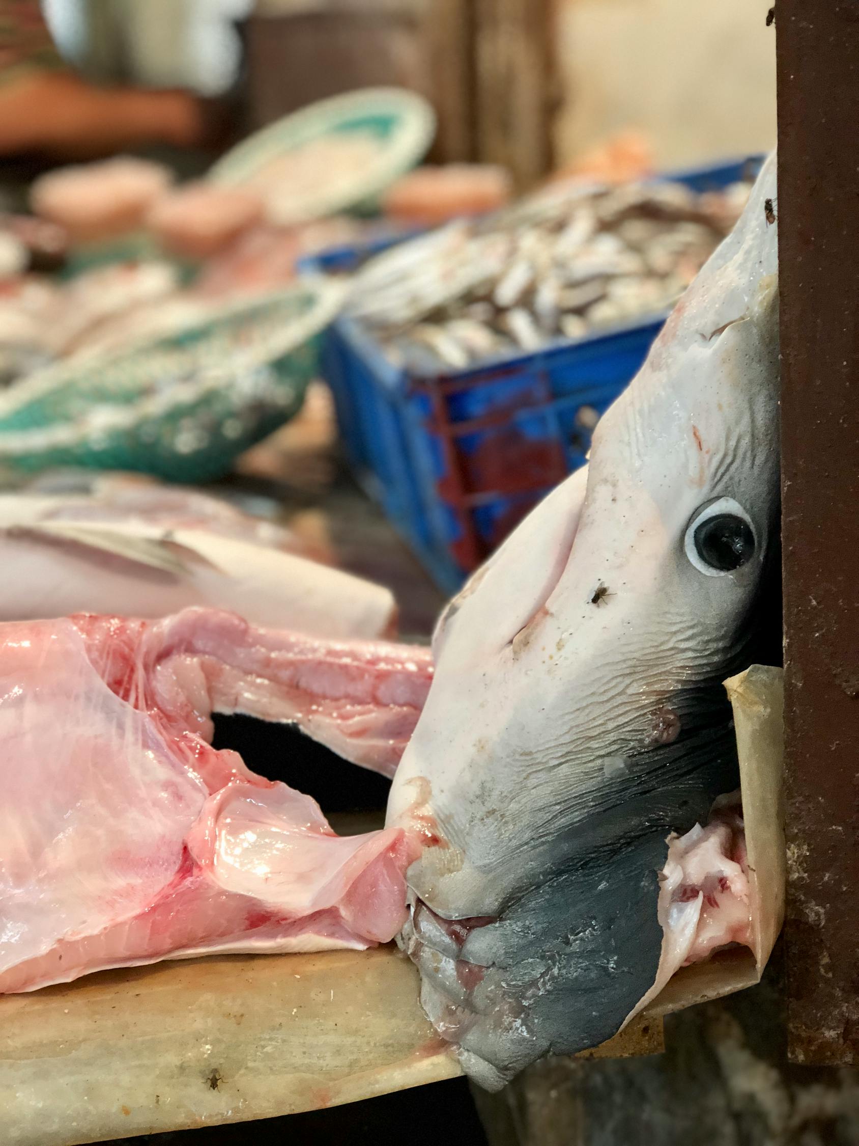 Exploring the World:A Comprehensive Guide to Travel Knowledge in English